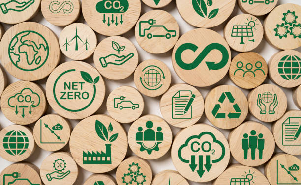 Biodegradable et Eco-Friendly Materials in Vehiculo Moderni Vestibulum